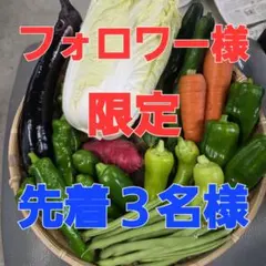 フォロワー様限定‼️500人突破記念❣️早い者勝ち(*•̀ᴗ•́*) — image 1