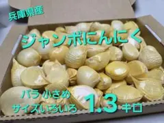 ジャンボにんにく バラ 小さめ1.3キロ 兵庫県産　ジャンボニンニク　食用　種用 — image 1