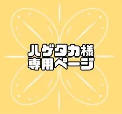 ハゲタカ様 専用 — image 1