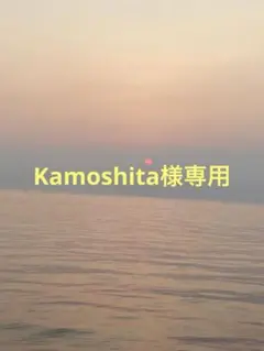 Kamoshika様専用販売サイト — image 1