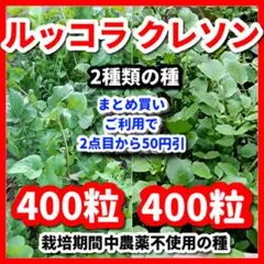 ルッコラ＆クレソンの種セット⭕️ — image 1