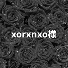 xorxnxo様専用、チップオーダー — image 1