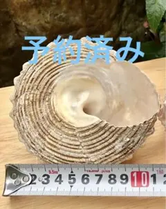 予約済み！！ — image 1