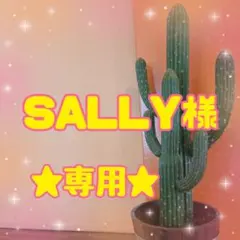 SALLY様 専用 — image 1