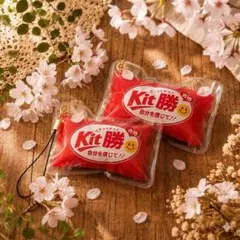 【2個セット】合格祈願 部活お守り フエルトお守り — image 1