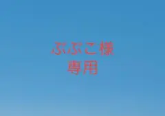 ぶぶこ様専用 — image 1