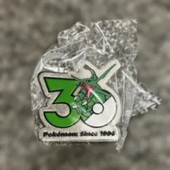 ポケモン30周年メタルチャームマスコット〜カントー、ジョウト、ホウエン〜 — image 1