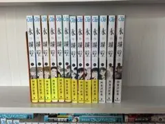 氷の城壁1巻〜13巻 — image 1