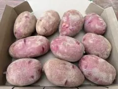 レッドムーン　コンパクトボックス — image 1