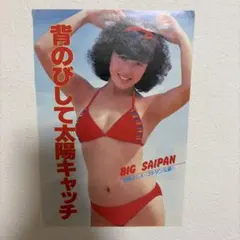相原よしえ 水着切り抜き — image 1