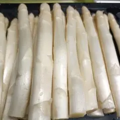 ホワイトアスパラガスB級品【700g】 露地栽培 — image 1