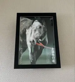 2L判サイズ　メジロマックイーン JRA 競馬 写真 額縁セット　ポスター — image 1