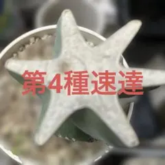 みつ様速達代金 — image 1