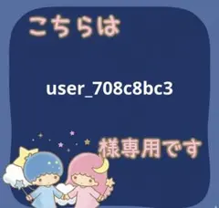 user_708c8bc3 様専用 — image 1