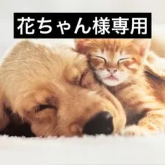 花ちゃん様専用 — image 1