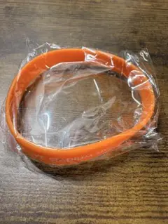 大場花菜 国立 まとめ — image 1