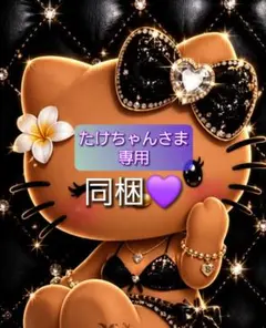 たけちゃんさま 専用 — image 1