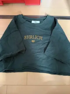 WEGO EHRLICH ロゴ刺繍 クロップドTシャツ グリーン S — image 1
