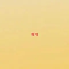専用 — image 1