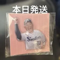 ヤクルトスワローズ レディース限定 ぷくぷくシール 増田 — image 1