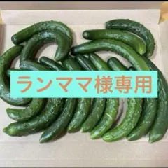 ランママ様専用 — image 1