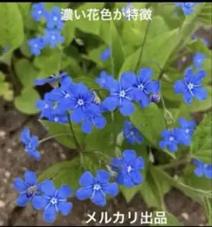 rkrkbunmi様 リクエスト 3点 まとめ商品 — image 1