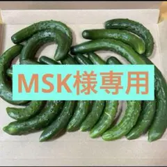 MSK様専用 — image 1