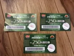 餃子の王将 250円割引券 3枚セット — image 1