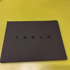 TESLA ロゴ入り ブラック キーケース(外装) — image 1