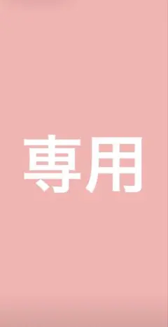 専用 — image 1