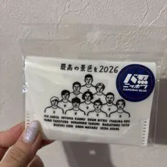【新品】3COINS サッカー日本代表 ステッカー セット スリーコイ — image 1