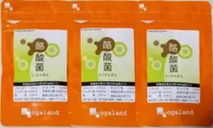 オーガランド 酪酸菌 約3ヶ月分（約1ヶ月分×3袋） サプリメント — image 1