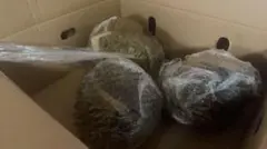 ドリアン 訳あり品 訳あり品 5kg 佐川冷蔵発送 — image 1