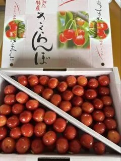 山形県天童市産さくらんぼ(紅秀峰) 1キロ — image 1
