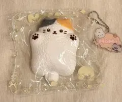 【週末限定限定値下げ】momo スクイーズ ハグアニマル 猫 — image 1