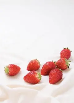 専用出品 — image 1