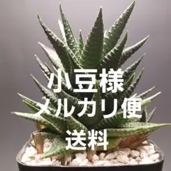 小豆様　メルカリ便送料追加分 — image 1