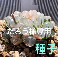 たろう様専用 — image 1