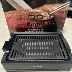 APIX INTL 肉祭りプレート ホットプレート 本体 — image 1