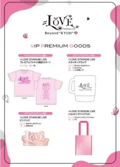 ＝LOVE Beyond "KYUN"♡ VIPプレミアムチケット　グッズ　4点 — image 1