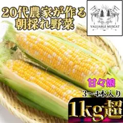 ●あいちゃん 様　専用 — image 1