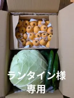 ランタイン様専用 — image 1