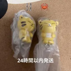 MINITEEN ガチャ HOSHI 2個セット — image 1