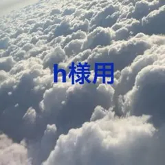 hさま用 — image 1