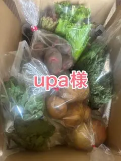 upa様 — image 1