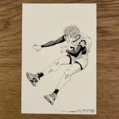 【匿名発送】ディグイット　3巻特典　つながるイラストカード　ポストカード　皆口秤 — image 1