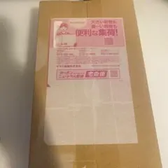 ポケセン産 メガドリームex — image 1