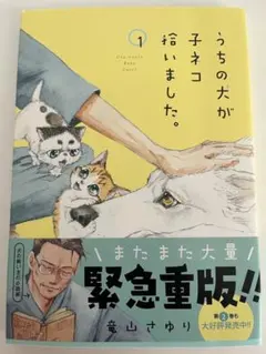 うちの犬が子ネコ拾いました。① 竜山さゆり 猫漫画 コミック — image 1