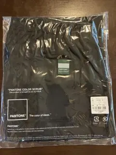 PANTONE COLOR SCRUB FOLK パンツ ブラック メンズLL — image 1