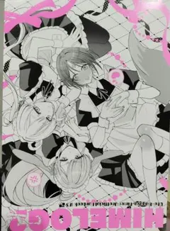 HIMELOG2　超かぐや姫　同人誌 — image 1